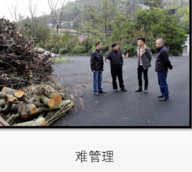 1536552084641259.jpg 生態(tài)服務(wù)29.jpg